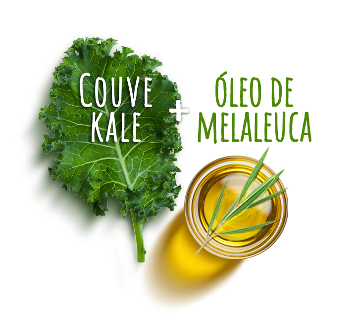 Couve kale + Óleo de malaleuca